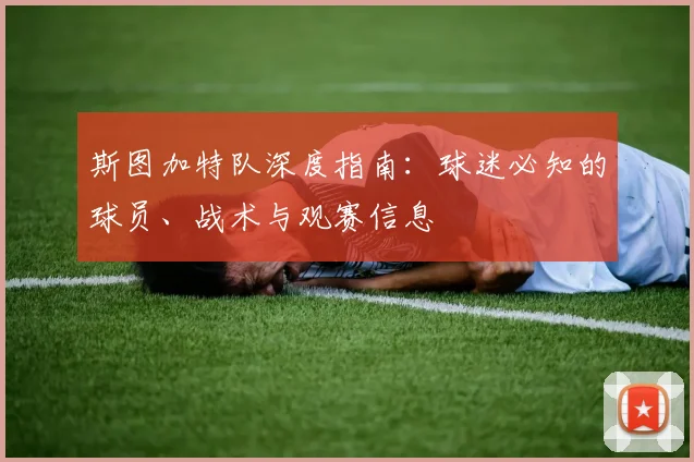 斯图加特队深度指南：球迷必知的球员、战术与观赛信息