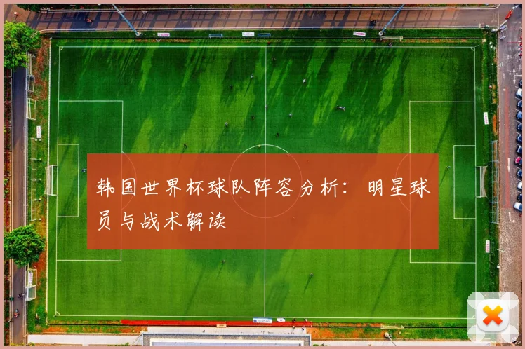 韩国世界杯球队阵容分析：明星球员与战术解读