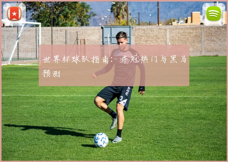 世界杯球队指南：夺冠热门与黑马预测