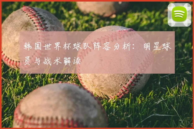 韩国世界杯球队阵容分析：明星球员与战术解读