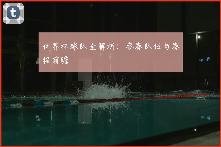 世界杯球队全解析：参赛队伍与赛程前瞻