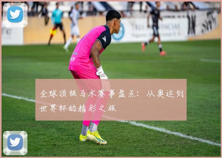 全球顶级马术赛事盘点：从奥运到世界杯的精彩之旅